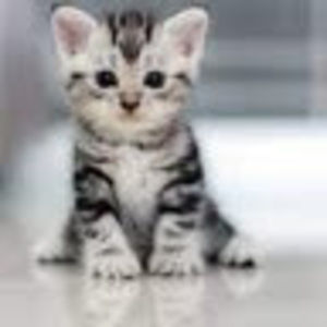 Meet your Posher, Ciara